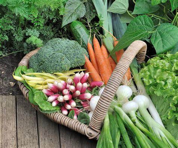 How the Alkaline Diet can Help Alkalize your body and Prevent Disease