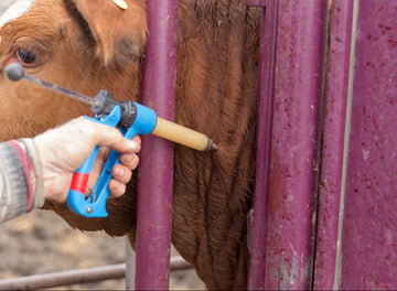 mRNA Vaccines for Animals Expected to Explode Within the next Few Years