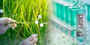10 GMO Startups Threatening Our Food Supply: The Rise of Gene Editing