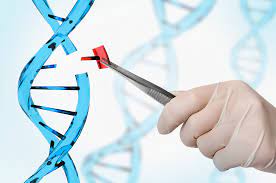 Genetic Modification of Humans Underway and its called 