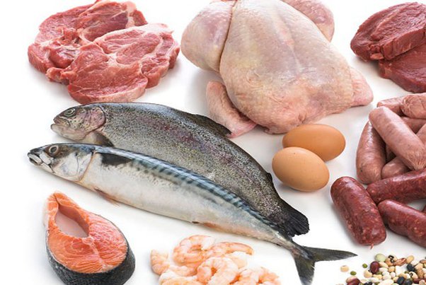 Is your Addiction to Fish and Meat Sabotaging your Health? – Joseph's ...