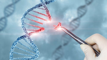 Gene Therapy the next Trend in Modern Medicine is nothing more than a fancy term for  Genetic modification