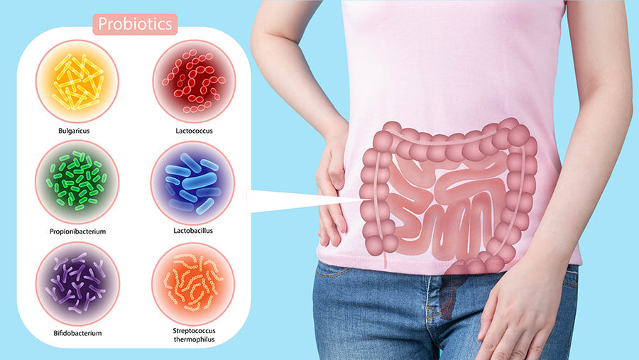 7 Benefits of Having Good Gut Bacteria