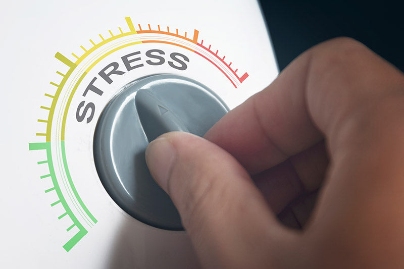 Chronically Stressed? Cortisol Can Damage almost Every Organ in Your Body It's time to de-stress