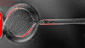 Human Embryos Grown in Labs? Crazy Biotech Startup Attempting to Clone Humans