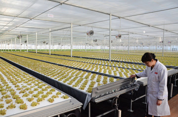 The USDA has been taken over by Big Agriculture: The growth of hydroponics signals the end of Plant Nutrition