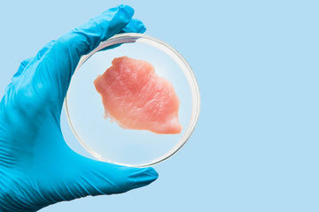 Lab Grown Cancer Meat is About to Become a Huge Problem in the U.S.