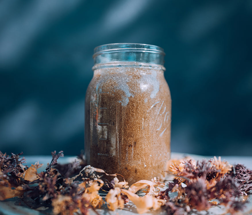 Wildcrafted Sea Moss Gel with Bladderwrack| Joseph's Organic Bakery