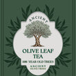 Cargar imagen en el visor de la galería, Olive Leaf Tea - Ultimate Immune Boosting Anti-Aging Tea
