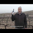 Load and play video in Gallery viewer, Organic Tempranillo Wine - Sulfite Free - Kosher
