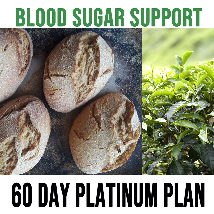 Blood Sugar Support Diet Plan - 60 Day Platinum Plan