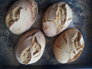 Assortment of Kamut & Einkorn Sourdough Breads- Pack of 4